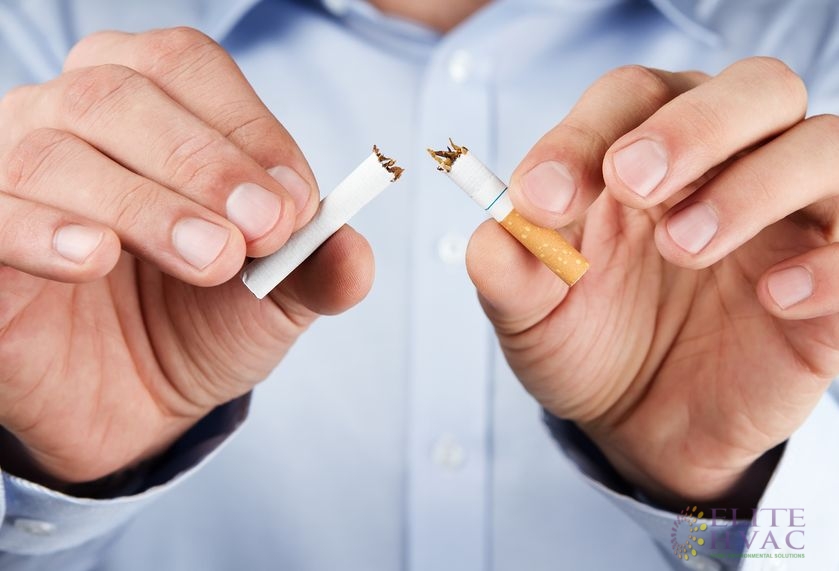 Human Hands Break a Cigarette in Half